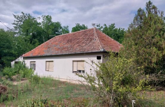 Kelebija, samostalna kuća sa većom parcelom u šumi!