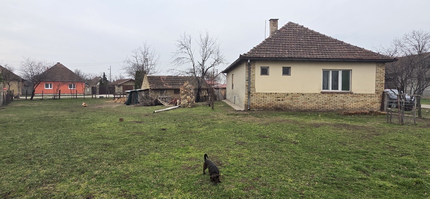 Novi Žednik, prizemna samostalna kuća.