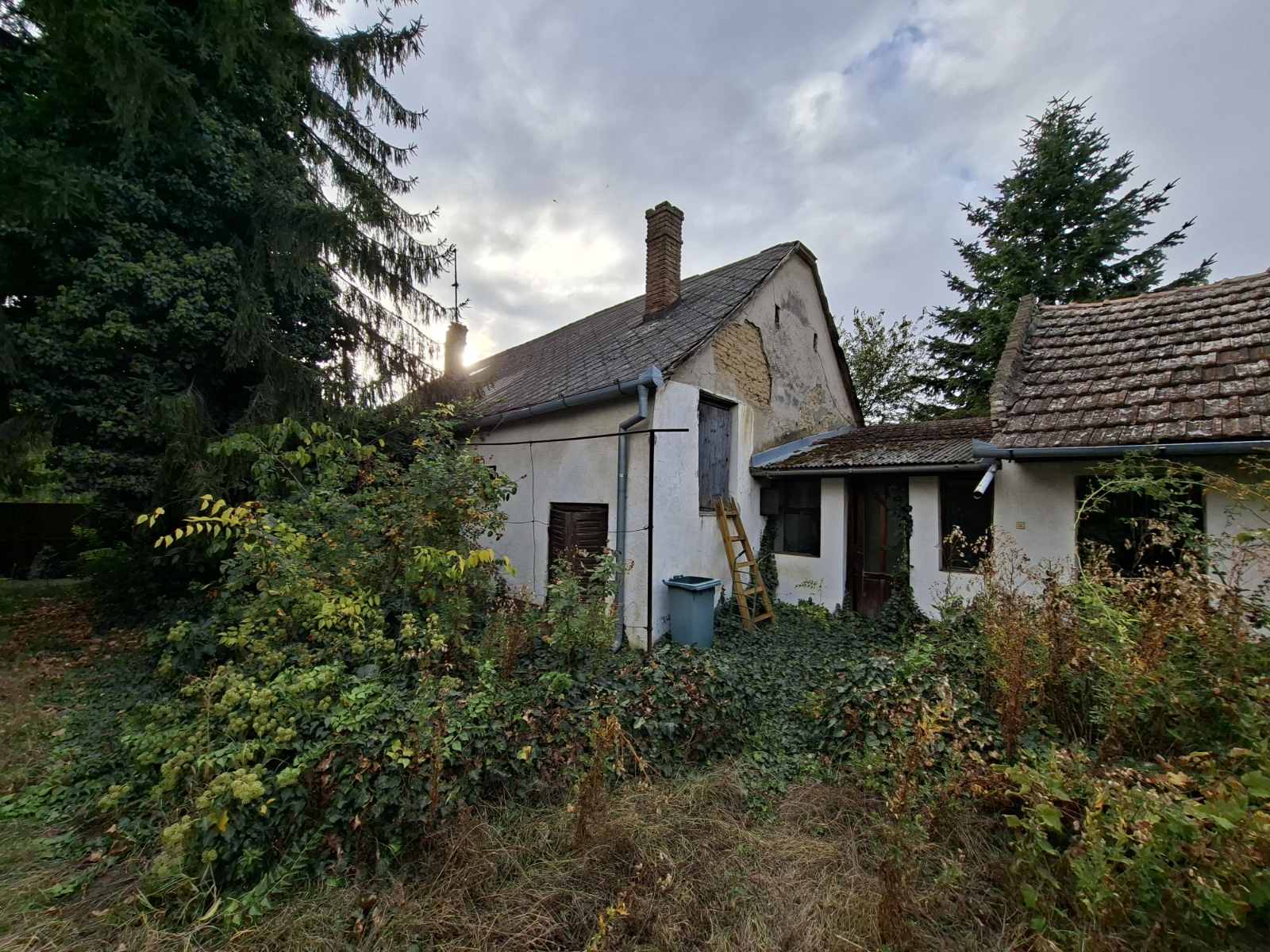 Gat, prizemna kuća za adaptaciju sa velikom parcelom!